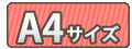 フルカラーセットA4
