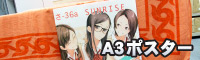 A3
