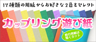カップリング遊び紙