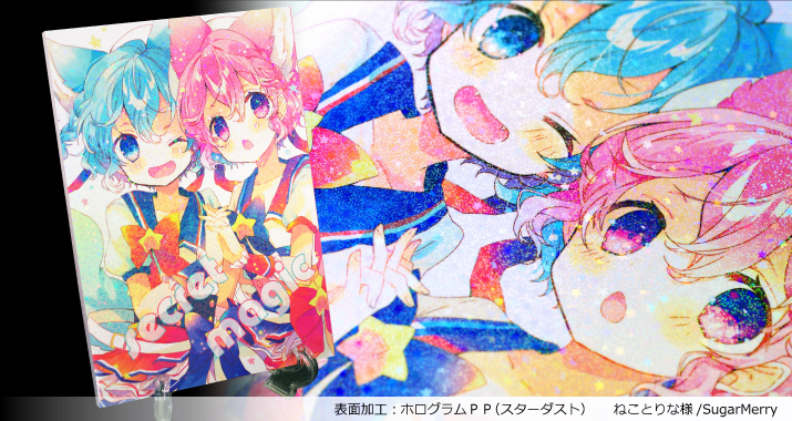 ホログラムPP2