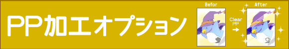 PP加工